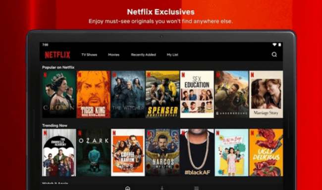 Penjelasan Mengenai Netflix Mod APK