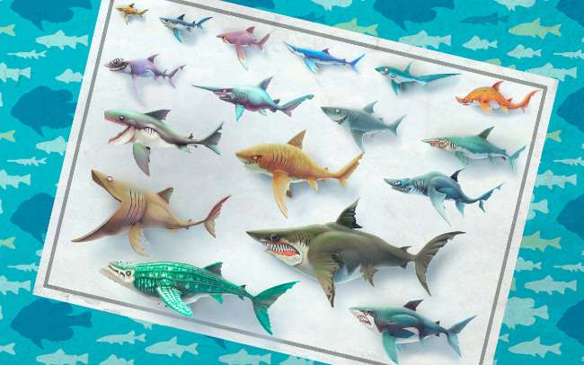 Review Singkat Hungry Shark Mod APK Evolution
