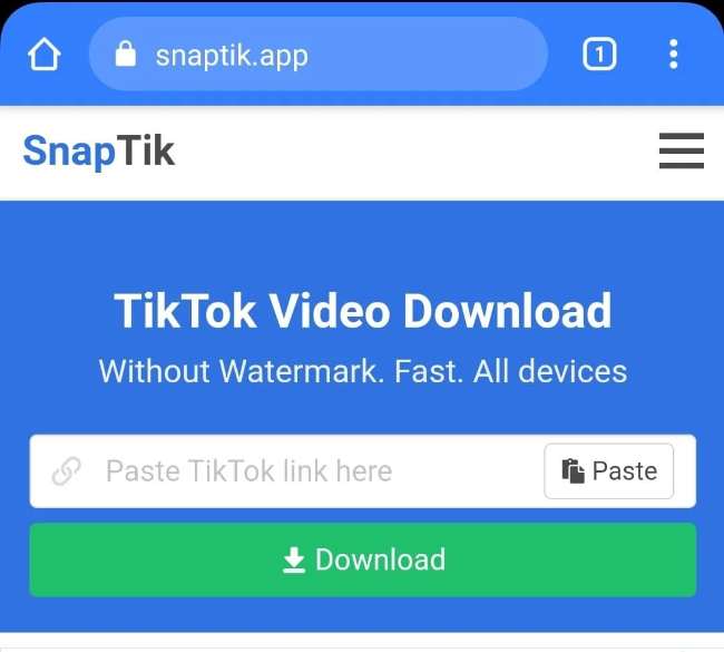 Cara Download Video Tiktok Tanpa Watermark di Android & iOS