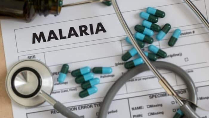 anopheles betina sebabkan infeksi malaria