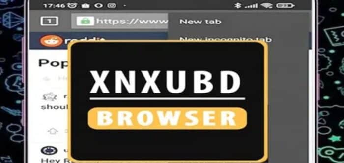 Sekilas-XNXubd-VPN-Browser-Download-Video-No-Sensor-Anti-Blokir