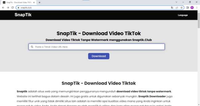 Website SnapTik