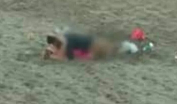 video viral bule di pantai bali wikwik
